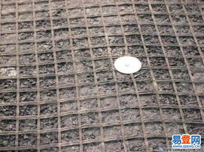 葫蘆島 遼寧財貿(mào)學院易登網(wǎng)